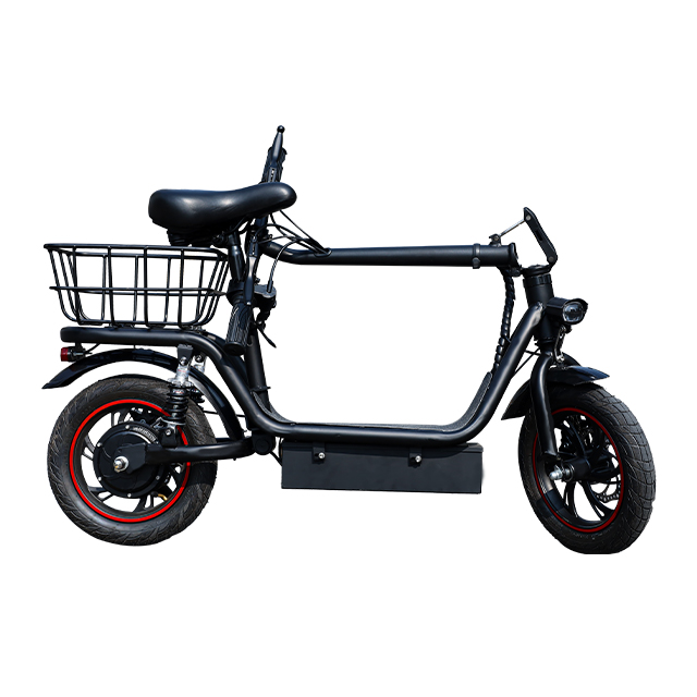 Segroll Smart Folding Ebike With Rear Basket For Adult B11